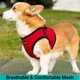 thumbnail image 5 of Chaleco de malla suave Mr. Peanut's PupTrek para mascotas pequeñas, 5 of 9