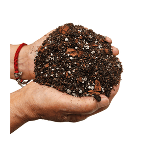 Genérico - Sustrato Premium Plantas Interior - Bolsa 4 Litros