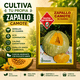 thumbnail image 5 of Semillas de Zapallo Camote de Guarda – Semillas Las Encinas, 5 of 5