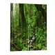 thumbnail image 1 of Cortinas De Ventana 3D De Impresión Digital Para Sala De Estar 170x200cm -Bosque, 1 of 5