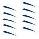 thumbnail image 1 of 10 Piezas Shield Cut Archery Caza Flecha Pluma Fletching DIY Azul, 1 of 3