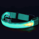 thumbnail image 1 of Collar LED para perro recargable por USB: collar luminoso brillante y de alta visibilidad para paseos nocturnos de mascotas., 1 of 5