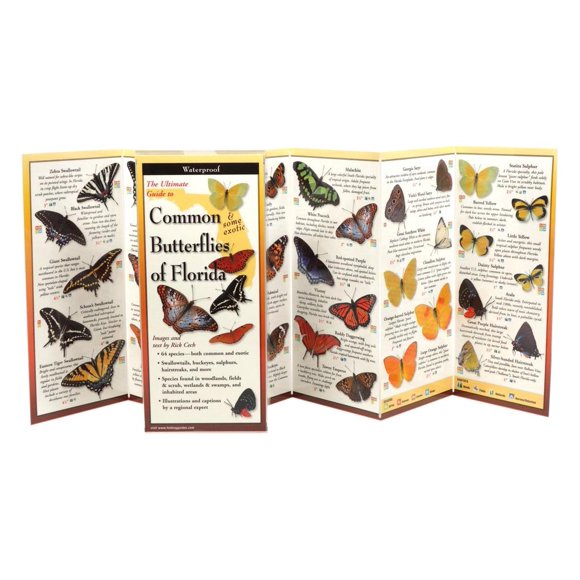Guía plegable de mariposas de Florida – Earth Sky + Water