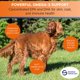 thumbnail image 4 of Suplemento para perros Stratford Omega 3 150 comprimidos masticables EZ Chew, 4 of 7