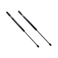 Daher Boge - Par Amortiguadores Capot Dodge Ram 1500 Rwd 04/07