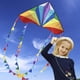 thumbnail image 2 of Kite Honbo Large Delta para niños y adultos con cuerda, 2 of 8