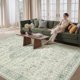 thumbnail image 1 of Alfombra de área Rugxara 244 × 152 cm Verde Vintage Lavable, 1 of 9
