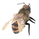 thumbnail image 3 of Finger Puppet Folkmanis Mini Bee negro y naranja-amarillo, 3 of 5