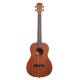 thumbnail image 1 of Ukelele Learn to Play Baritono KALA-LTP-B Kala, 1 of 5