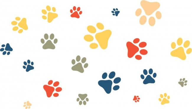 Rienda Libre Graphics - Decomural Paw Prints Pets Dogs Set Ws-46082