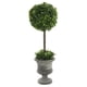 thumbnail image 1 of Topiario de boj verde artificial Vickerman de 21 pulgadas con maceta, 1 of 2