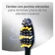 thumbnail image 4 of Cepillo de Dientes ZigZag Medio, 1 Un, 4 of 6