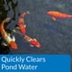 thumbnail image 3 of Clarificador de agua para estanques API POND ACCU-CLEAR 9600L, 3 of 6
