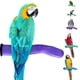 thumbnail image 1 of Posadero para Pájaros Sweet Feet and Beak XL 36 cm de Piedra Pómez Seguro, 1 of 8