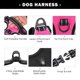 thumbnail image 4 of Arnés para perros PHOEPET, chaleco reflectante con clip frontal y asa M, rosa, 4 of 6