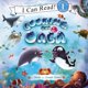 thumbnail image 1 of Buscando una orca: libro infantil sobre animales del océano. Cuento con rimas para dormir para niños, 1 of 1