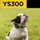 thumbnail image 4 of Dogtra YS300 Collar Antiladridos para Perros Pequeños, 4 of 4