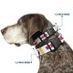 thumbnail image 2 of Collar para perro Buckle-Down 46‑81 cm 1,5 pulg. Star Wars, 2 of 8