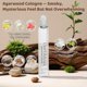 thumbnail image 4 of Perfume Umpeimvon, 3 piezas, perfume tipo colonia en aceite, roll-on, 10 ml, 4 of 7