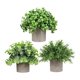 thumbnail image 4 of 3 Piezas De Peque?as Plantas Falsas En Maceta Para Estante, Sala De Estar, Ba?o, Estilo I, 4 of 5