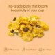 thumbnail image 3 of Té de hierbas Cure wid Pure con crisantemo orgánico puro 114 g, 3 of 7