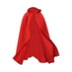 thumbnail image 5 of 1/6 Capa Con Capucha Para Hombre Capa Larga Retro Para Figuras Masculinas De 12 Pulgadas Accesorio Para El Cuerpo Rojo, 5 of 5