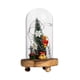 thumbnail image 1 of Árbol De Navidad En Cúpula De Cristal Con Luces, Decoración Del Hogar Para Vacaciones, Bodas De Navidad, 1 of 5