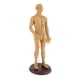 thumbnail image 3 of Acupuntura humana y moxibustión modelo femenino masculino juega 50cm masculino suave, 3 of 3