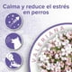 thumbnail image 4 of Collar Perro Anti Estrés - Beaphar Calming x 1 Unidad, 4 of 5