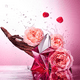 thumbnail image 3 of Perfume Angel Nova Edp 100Ml Mujer, 3 of 3