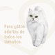thumbnail image 3 of Pack alimento húmedo para gato FANCY FEAST® Casserole con Pollo y Pavo 15x85g, 3 of 5