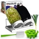 thumbnail image 1 of Kit de germinación de semillas ZESTIGREENS con 2 frascos Mason y soporte, 1 of 7
