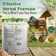 thumbnail image 3 of Suplementos para Ojos Silver Lining Herbs Bright Eyes 454g - Caballo, 3 of 9
