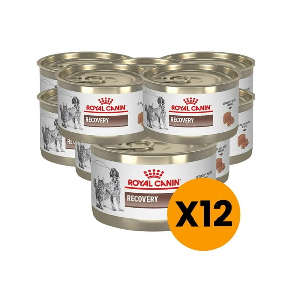Alimento Royal Canin Recovery lata 145g - Pack X12 amarillo
