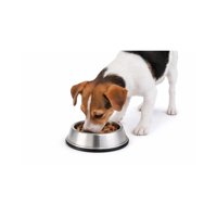 Genérico - Plato Antihormigas Acero Inoxidable Mascotas S 0.45 L