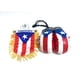 thumbnail image 4 of Set de bandera de coche y guantes de boxeo Banner PRK 14 de Puerto Rico, 4 of 8