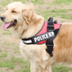 thumbnail image 2 of Arnés pechera K9 acolchado reforzado perros grandes XL paseo, 2 of 3