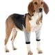 thumbnail image 2 of Protector de codo de perro para callos, traje de recuperación para las piernas delanteras, cuello de cono alternativa para dejar de lamer heridas, manga de la cubierta para perros pequeños y, 2 of 3