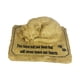 thumbnail image 3 of Piedra Conmemorativa De Gato, Ligera, Presenta Decoración De Condolencia, Marcador De Tumba De Gato Sin Agujero, 3 of 5