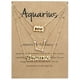 thumbnail image 1 of Gorgeous 3-Pack Zodiac Alphabet Symbols Rhinestone Clavicle Chain Necklaces, 1 of 5