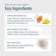 thumbnail image 3 of Exfoliante para Cuero Cabelludo VIRTUE 142 ml Sin Fragancia y Detox, 3 of 8