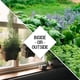 thumbnail image 1 of Pack Semillas Hierbas Seed Needs 12 Variedades No GMO Hidropanico, 1 of 3