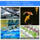 thumbnail image 5 of Bomba de aire AquaMiracle AP60 950 GPH 30 W 60 LPM, 5 of 6
