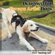 thumbnail image 2 of Arnés para perros Rabbitgoo Escape Proof de cuerpo entero L negro, 2 of 8