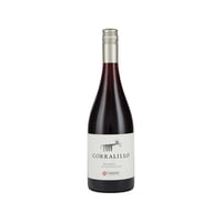 Vino Tinto Pinot Noir Corralillo 14° Botella 750 Ml Matetic