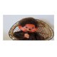 thumbnail image 1 of Monchhichi Fondo Temático Pancarta Suministros de Decoración para Fiesta de Cumpleaños, Decoración de Fondo de Fiesta Personalizado,90*180cm, 1 of 6