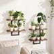 thumbnail image 1 of Estantes flotantes de pared Bamworld, paquete de 2, marrón, soporte para plantas, 1 of 7