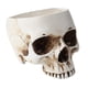 thumbnail image 2 of Maceta De Hormigón Con Forma De Calavera De Halloween Para Bricolaje, 2 of 5