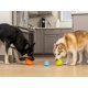 thumbnail image 2 of Juguete para perro WEST PAW Zogoflex Toppl XL Mandarina, 2 of 9