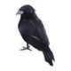 thumbnail image 4 of Cuervos De Halloween Cuervos Con Plumas Negras Realistas Para Disfraces Elegantes Patio Césped Estilo B, 4 of 5